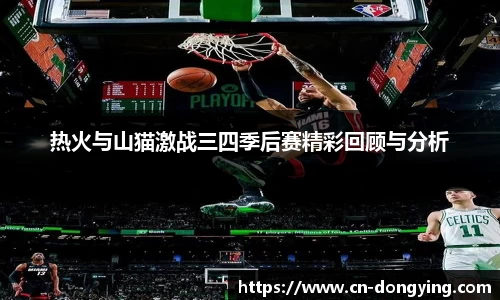 热火与山猫激战三四季后赛精彩回顾与分析